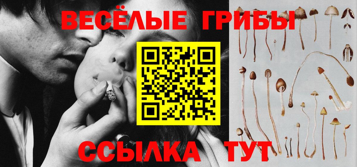 Псилоцибиновые грибы Psilocybine cubensis Кемерово