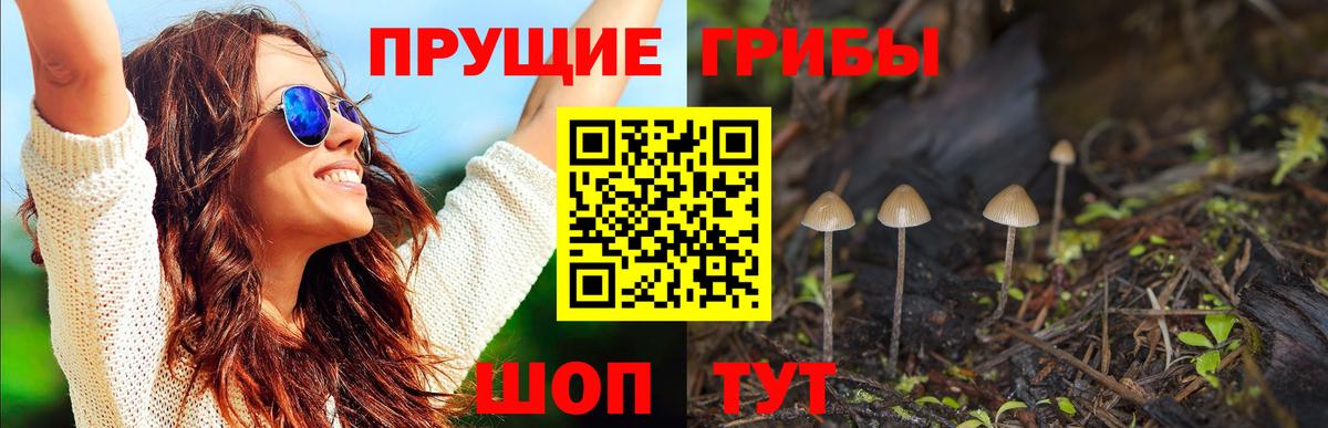 Кемерово  Галлюциногенные грибы Psilocybine cubensis  Вход с VPN 